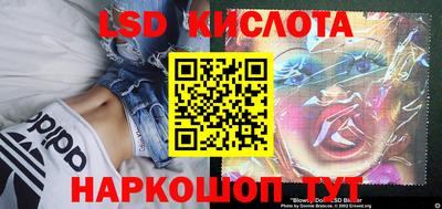 ПСИЛОЦИБИНОВЫЕ ГРИБЫ Кингисепп