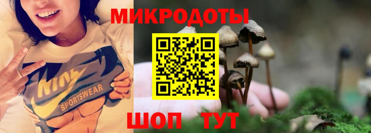 Шали  Псилоцибиновые грибы мицелий  Вход с VPN 